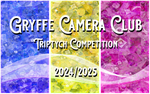 Triptych Digital Panel Competition portfolio