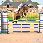 BS Seniors Weekend Inc Young Horse Champs 1st to 4th - Click to Enter