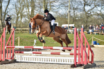 BS Club & Junior SJ at Bicton Arena 16-02-18