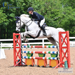 Wednesday 19th Snr BS - Click to View