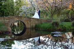 Abbey & Andrew portfolio