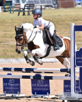 Juniors and Club Weekend 11th and 12th - Click to Enter
