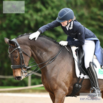 British Dressage Friday 10th - Click to View Photos portfolio
