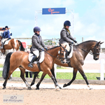 Area 12 Summer Dressage Saturday 6th - Click to View