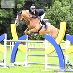 BS June Mid Summer Show 13th to 15th - Click to Enter portfolio
