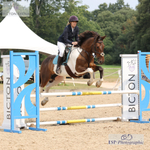 BS Devon Area 50 Show 16th and 17th - Click to Enter