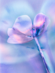 Afterglow portfolio