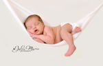 Newborn Packages portfolio
