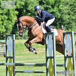 Burghley Young Event Horse Thursday 22nd - Click To Enter portfolio
