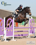Wednesday 30th BS Seniors - Click to View
