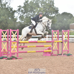 British Showjumping Area 48 Show 5th to 6th August= Click to View Photos portfolio