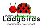 DURLEY LADYBIRDS COMMUNITY PRESCHOOL portfolio
