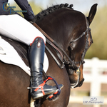 Saturday 4th British Dressage = Click to View Photos portfolio
