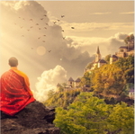 Unique Experiences portfolio