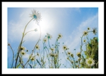 Floral ***Coming Soon*** portfolio