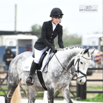 BRC Area 12 Dressage Photos Sunday 3rd - Click to Enter