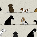 Dogs & Cats portfolio