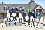 Petplan Summer Area Festival 14th to 16th - Click to Enter portfolio
