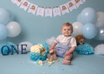 NPP1752 portfolio
