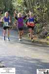 cornish marathon – 5.11.23 – www.eastcornwallharriers.com