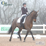 BD Winter Regionals 17th to 18th = Click to View Photos portfolio