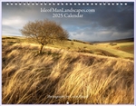 2025 Calendar portfolio