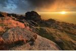 Dartmoor Landscapes Prints portfolio