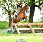 UnAff One Day Event, Saturday 17th June = Click to View Photos portfolio