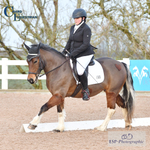 Arena Eventing and Dressage Sunday 7th Jan = Click to View Photos portfolio
