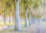 ICM portfolio