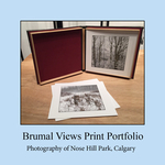 Brumal Views, 2021 portfolio