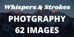 Gallery 4: portfolio