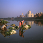 India portfolio