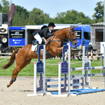 EDHPC  Area 15 SJ & Minis 22-06-25 Click to enter portfolio