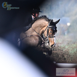 Wednesday 4th BS Seniors - Click to Enter