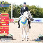 BD Petplan Summer Area Festival 15th to 17th - Click to Enter