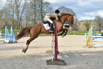 NSEA Qualifiers at Bicton Arena 04-02-2018