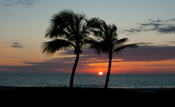 Sun, Beach, Water portfolio
