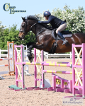 Wednesday 14th Snr BS - Click to Enter