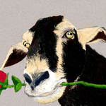 Pets - Dogs/Cats/Goats portfolio