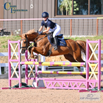 Tuesday 7th Chard Club and Schools - Click to Enter