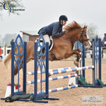 Tuesday 11th Club and Schools - Click to View