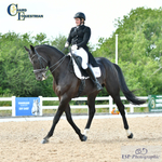 Dressage Festival Weekend 30th to 2nd July = Click to View Photos portfolio