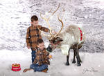 Xmas Packages portfolio
