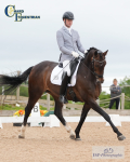 Festival of Dressage Weekend 12th to 14th - Click to Enter