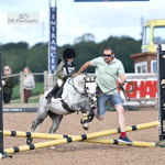 Seavington PC Open SJ 16-06-24 - Click to Enter