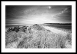 Holkham Dune portfolio