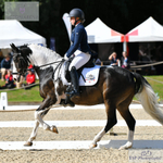 BD Summer Regionals 21st to 23rd July = Click to View Photos portfolio