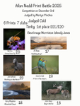 Afan Nedd Print Battle portfolio