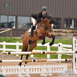 Wednesday Senior BS at Chard, 5th April = Click to View Photos portfolio